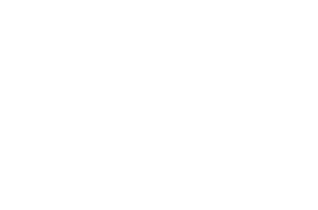 Yaser Shaw Logo